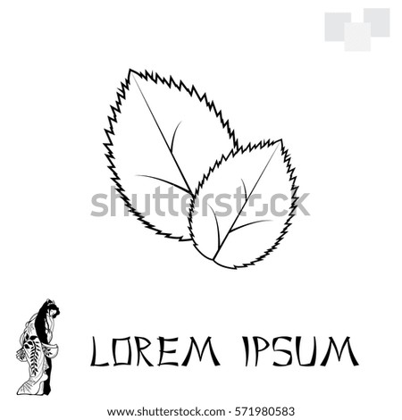 Leaf line icon, vector illustration.