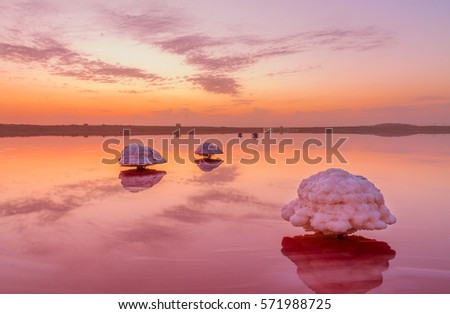 Mushroom-shaped salt formation in the Masazir Lake. Water of this lake is heavily saturated with salt and has a bright pink color. Masazir, Baku, Azerbaijan. Royalty-Free Stock Photo #571988725