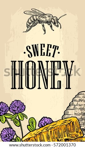 Vertical poster with honey, honeycomb, jar, spoon, bee. Isolated on the beige background. Vector color hand drawn vintage engraving illustration for label, menu