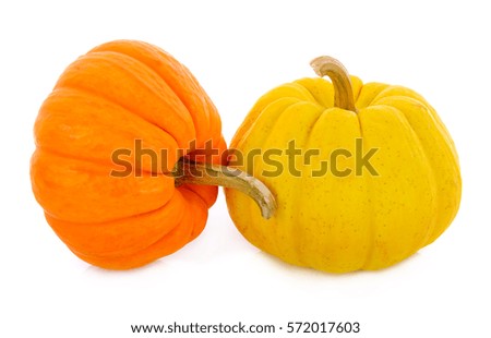 Small pumpkin isolated on white background