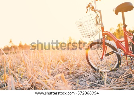 Vintage of bicycle on grass field, blur of focus