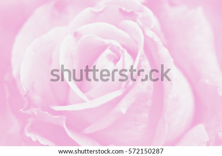 Blurred of sweet roses in pastel color style on soft blur bokeh texture for background Valentines Day