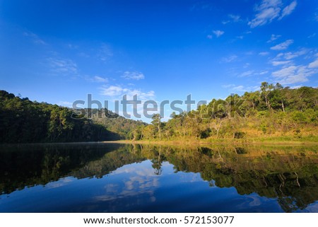 Reflection of pine tree in a lake at Pang ung, meahongson Thailand