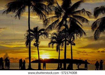 Magic hour under Palm tree in a tropical beach