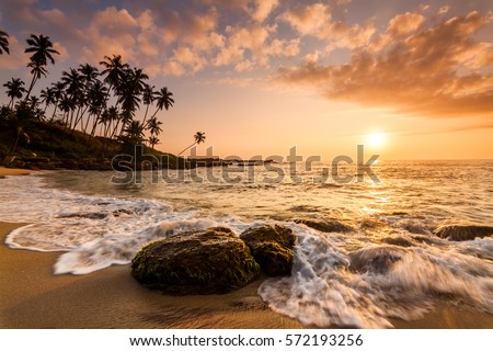 Sunset on the beach with coconut palms. Sri Lanka Royalty-Free Stock Photo #572193256