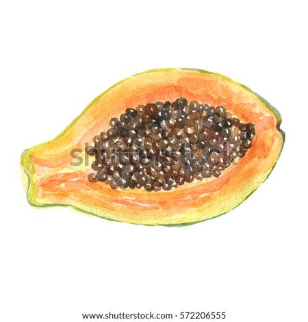 watercolor papaya on a white background