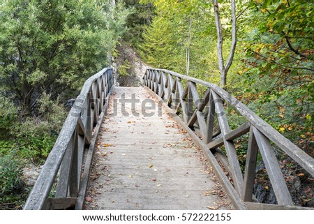 Vanishing old wooden footbridge with rails over river. Prionia, Mount Olympus, Pieria, Greece.
