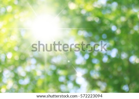 Beautiful glittering green backgrounds with sunshine lighting green nature forest bokeh effect on picture, green glitter background