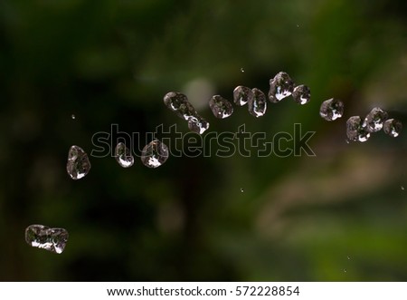 Water drops on natural background. Aqua drops flying in air. Rain drops on dark green garden backdrop. Transparent and clear water beads. Watering garden from hose. Water supply stream macro photo 