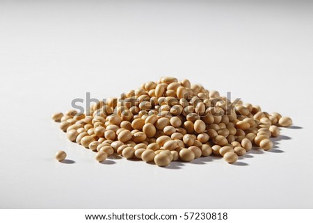stock images of the  soya bean