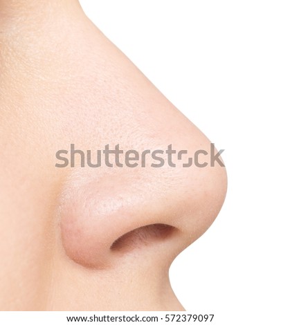 nose isolated on white background Royalty-Free Stock Photo #572379097