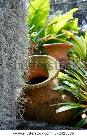 Two old empty ceramics jugs as a part of garden's decoration. Close up full frame angle view