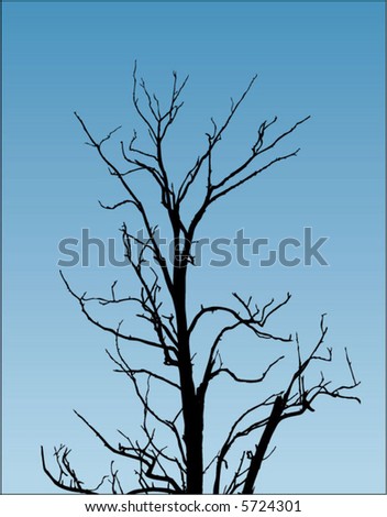 vector tree branch