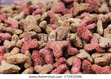 Cat food, granule, as background. Cat food texture pattern. Dry pet food textures studio photo.

