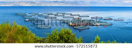 Sea fish farm. Cages for fish farming dorado and seabass. The workers feed the fish a forage. Seascape panoramic photography.