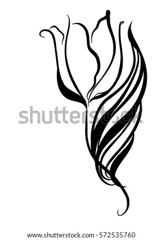 Drawing vector graphics with floral pattern for design. Floral flower natural design. Graphic, sketch drawing. lily, tulip.

