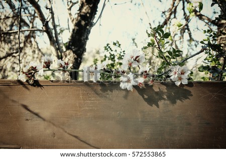 background of spring white cherry blossoms tree and old wooden sign. selective focus. vintage filtered