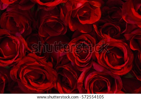Red color Roses Background