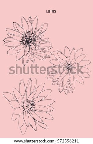 Vector set of hand drawn lotus flowers.sketch line art illustration