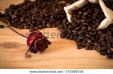 arabica and robusta coffee beans with sack bag and dried red rose flower , Selective focus at rose flower, copy space, can be used as a background