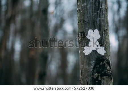 White frog education trail marking for children in the woods. It's made specially for children who love to be in nature.