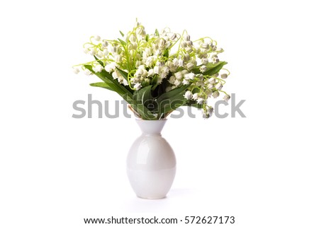 mayflowers spring white bouquet isolated