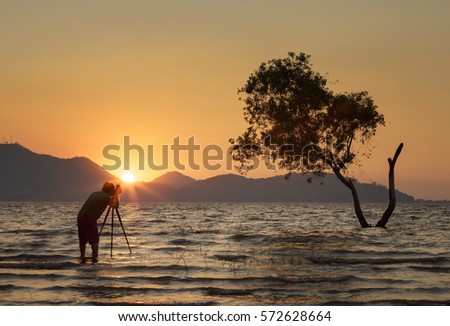 photographer takes photo of tree 