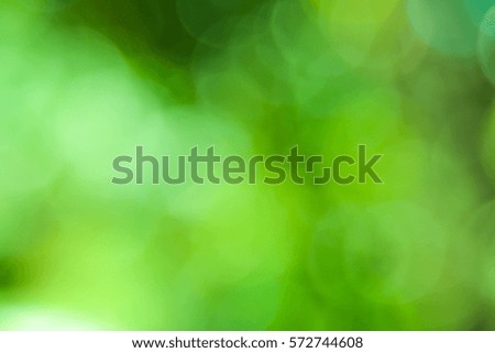 Green blurred bokeh background