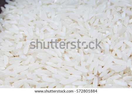 Rice background. Rice texture basmati long pattern, white raw uncooked rice closeup. Studio photo texture photography.