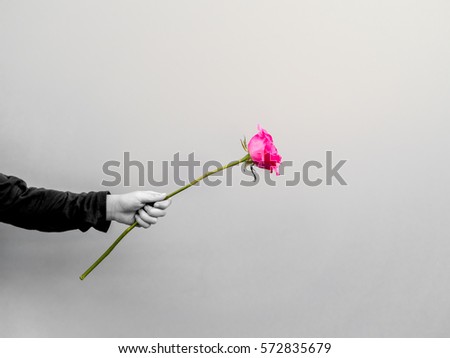 small hand holding the rose flower, give to someone, black and white tone , only the flower in color