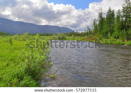 Water landscape wildlife Taimyr. Mountain river on the Putorana plateau.
