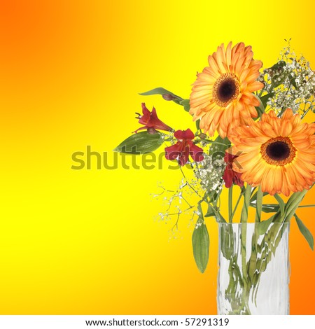 Bouquet with ????????? close up in studio