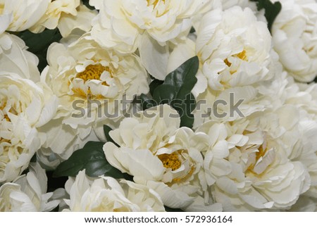 White rose bouquet background