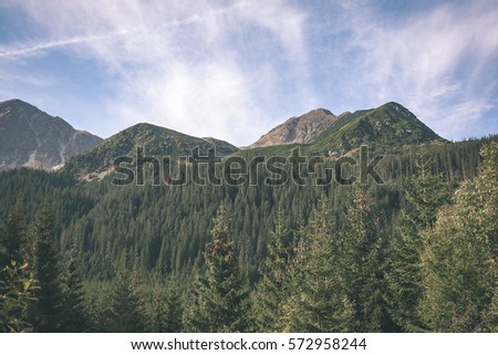 slovakian carpathian mountains in autumn. sunny day for hiking - vintage look