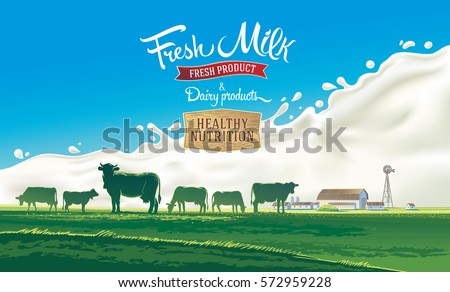 Rural landscape with herd cows and farm with splash milk in background. Vector illustration. Royalty-Free Stock Photo #572959228