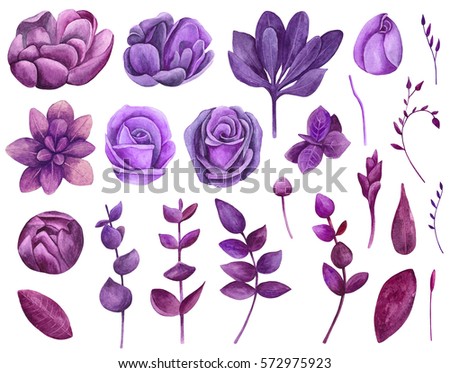 Watercolor purple flowers set clipart. Floral violet collection clip art
