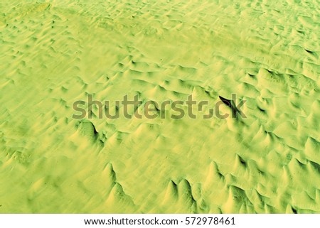 Green color. Natural texture and background of the desert. Sand patterns