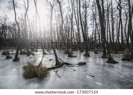 Frozen lake in icy forest - vintage style effect picture