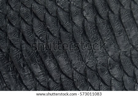 Texture of snake skin. Black snake skin. Snake scales. Scale texture. skin leather texture. Close up.
