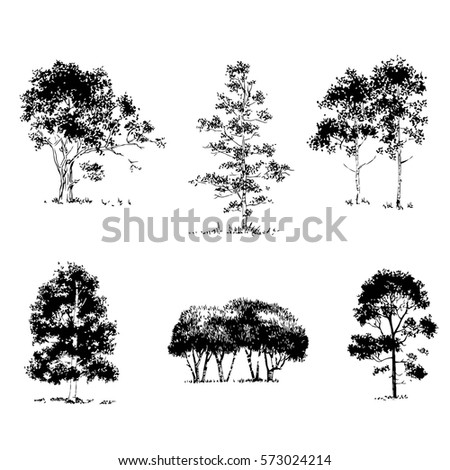 Vector tree on white background.