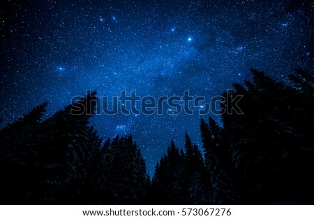 The bright starry sky in the night forest Royalty-Free Stock Photo #573067276