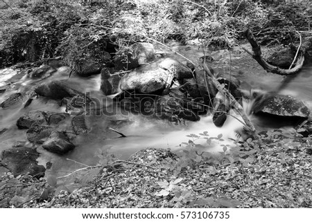 Creek in autumn, black and white  