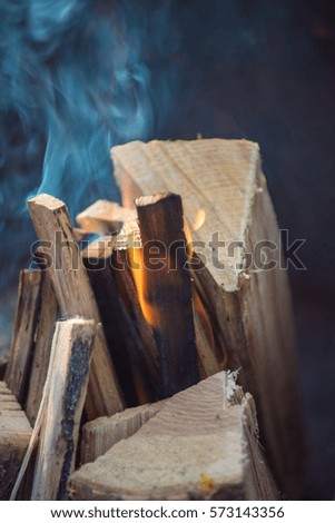 Firewood buring at campfire in the park during holidays