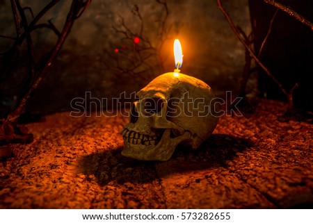 Halloween Skull head  lantern on scary background