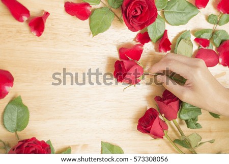 red rose on light yellow wood background ,valentine concept