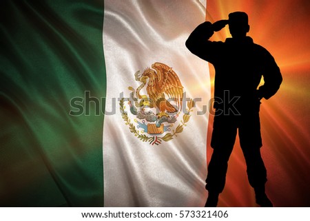 Flag with original proportions. Closeup of grunge flag of Mexico