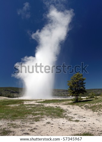 Yellowstone National Park in the state of Wyoming
