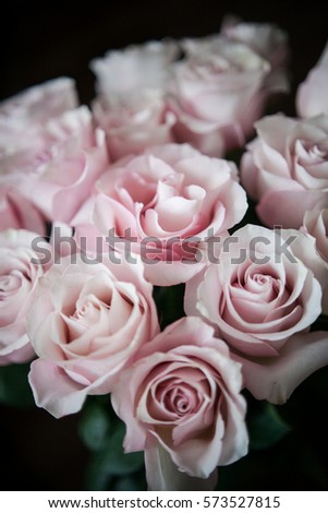 large buds of pink roses in an expensive bouquet.
close-up of a bouquet of huge pink roses on a light background