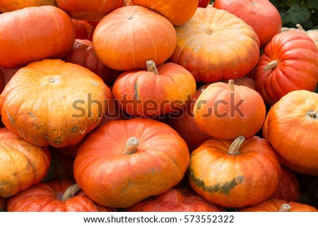 colorful pumpkins as abstract background