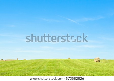 Beautiful Rural countryside Landscape. Colorful Nature Summer Background. Field with grass clippings in Sunny day. Horizontal Wallpaper With Copy Space